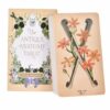 The Antique Anatomy Tarot