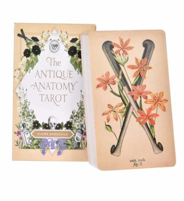 The Antique Anatomy Tarot